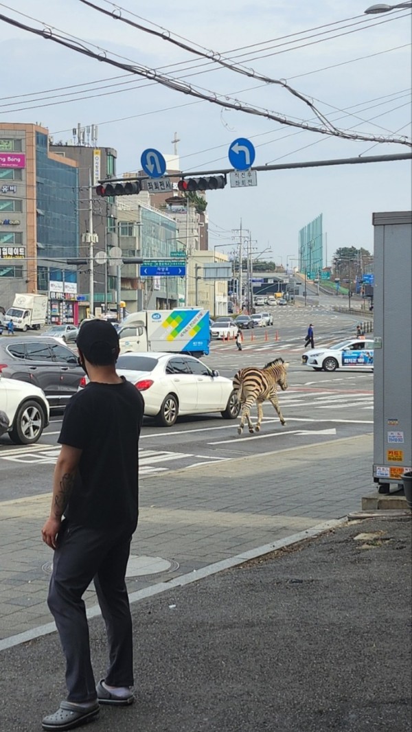 KakaoTalk_20230323_170200758_01.jpg